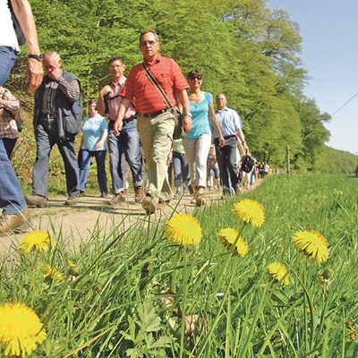 Frei zugängliche Sportangebote wie Wanderwege spielen in der Freizeitgestaltung für viele Trierer eine wichtige Rolle. Archivfoto: ttm