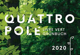 Grafik: Titelseite des Quattropole-Grünbuchs