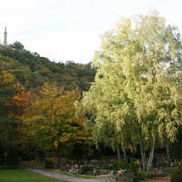 Westfriedhof mit Mariensäule