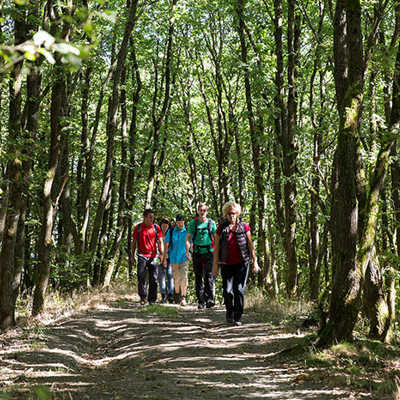 Die abwechslungsreiche Strecke der Osterwanderung hält auch einen schönen Abschnitt durch den Wald des Kobenbachs bereit. Foto: TTM