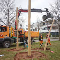 Auf dem Grünstreifen an der Robert-Schuman-Allee auf dem Petrisberg wird der dritte neue Pfosten für die Skulptur „Trio Trier“ aufgestellt.