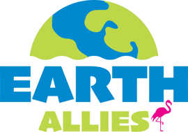 Earth Allies, das Oberthema des aktuellen Oberthemas der WRO "Earth Allies"