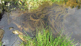 Das Öl hat das Wasser in dem Becken stark verschmutzt. 