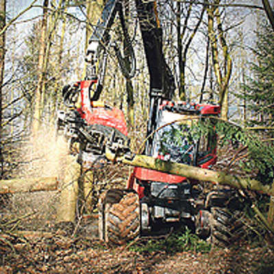 Die Holzerntemaschine entastet die großen Baumstämme, die Orkan „Xynthia“ zum Opfer gefallen sind, und zerlegt sie gleich in rund drei Meter lange Stücke.