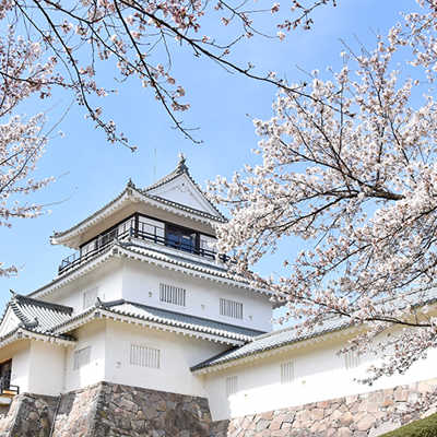 Die Kirschblüte ist eines der wichtigsten Symbole der japanischen Kultur. Auch in Triers Partnerstadt Nagaoka ist sie ein ganz besonderes Ereignis – besonders beeindruckend sind die Bäume im Yukyuzan-Park. Foto: Stadt Nagaoka