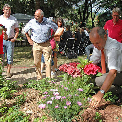 OB Klaus Jensen (rechts) bedeckt das Pflanzloch einer Hortensie im Feyener Stadtgarten mit Erde.  