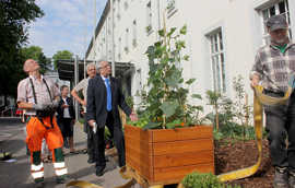 Baudezernent Andreas Ludwig begutachtet das neue mobile Hochbeet vor dem Rathaus.