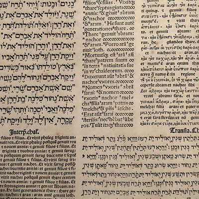 In der spanischen Bibel sind die Texte immer in mehreren Sprachen nebeneinander abgedruckt. Abb.: Wissenschaftliche Bibliothek/Anja Runkel