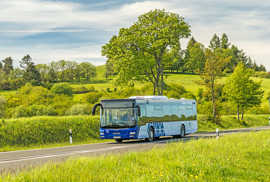 Die Regionalbusse im Verkehrsverbund Region Trier, die von verschiedenen Anbietern betrieben werden, präsentieren sich seit 2021 in einem einheitlichen Look. Foto: VRT