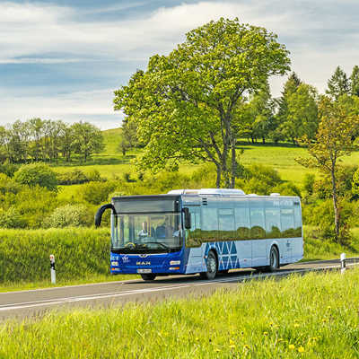 Die Regionalbusse im Verkehrsverbund Region Trier, die von verschiedenen Anbietern betrieben werden, präsentieren sich seit 2021 in einem einheitlichen Look. Foto: VRT