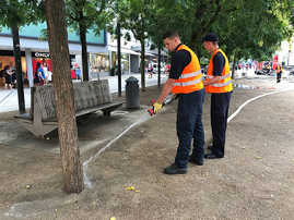 Mitglieder der Freiwilligen Feuerwehr Olewig wässern Bäume auf dem Kornmarkt.