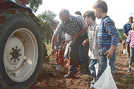 Ein Projekt der LA 21: „Stadtkinder“ erleben den Begriff nachhaltiges Wirtschaften bei der Kartoffelernte. Foto: Lokale Agenda