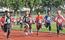 Das Entwicklungskonzept soll einen Beitrag leisten, um die Auslastung der Sportanlagen zu verbessern. Im Moselstadion finden regelmäßig Breitensportwettkämpfe statt, darunter die SWT-Schullaufmeisterschaften.