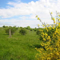 Foto: AVG-Streuobstwiese im Brettenbachtal