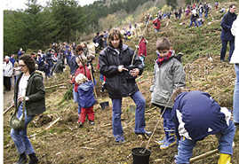 Zur Baumpflanzung kamen am Samstag rund 100 Kinder mit ihren Familien zum Goldkäulchen im Mattheiser Wald. Foto: Lokale Agenda 21