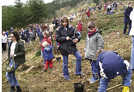 Zur Baumpflanzung kamen am Samstag rund 100 Kinder mit ihren Familien zum Goldkäulchen im Mattheiser Wald. Foto: Lokale Agenda 21