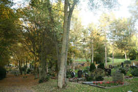 Impressionen vom Südfriedhof