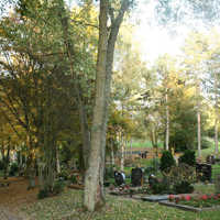 Impressionen vom Südfriedhof