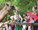 2013 organisierten mehrere große Trierer Arbeitgeber unter anderem einen Ferienbesuch im Saarbrücker Zoo. Foto: Sparkasse