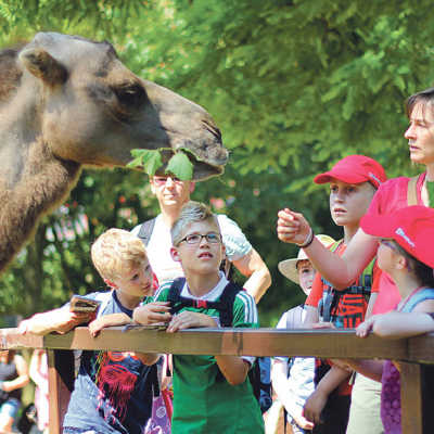 2013 organisierten mehrere große Trierer Arbeitgeber unter anderem einen Ferienbesuch im Saarbrücker Zoo. Foto: Sparkasse