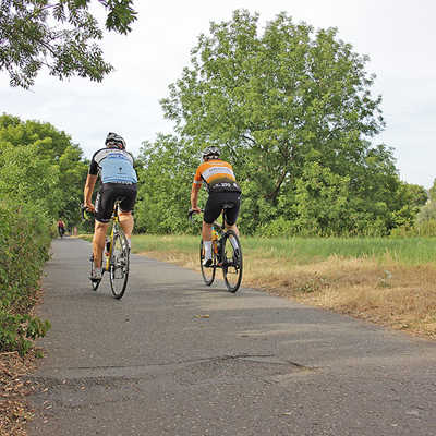 Unebenheiten auf dem Moselradweg, wie hier in der Nähe der Konrad-Adenauer-Brücke, sollen durch die Oberflächensanierung so gut wie möglich behoben werden.