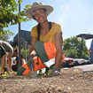Sabine Richie bepflanzt mit ihren Kollegen von StadtGrün den Küchengarten vor dem Rathaus unter anderem mit Mangold.