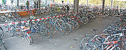 Schulhof mit Fahrrädern