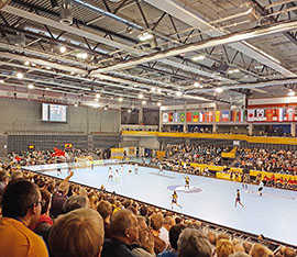 Spiel der Handball-WM 2017 in der Arena Trier.