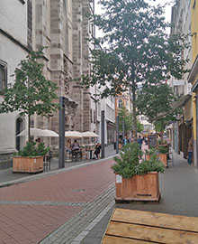 Hochbeete in der Innenstadt von Bonn. Foto: B90/Grüne