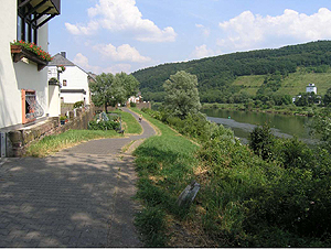 Moselradweg im Stadtteil Pfalzel